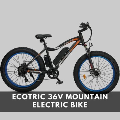 ECOTRIC 36V Mountain Electric Bike
